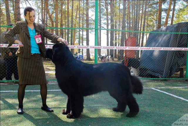 Фотография № 70589