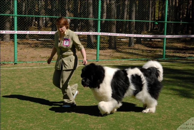 Фотография № 70595