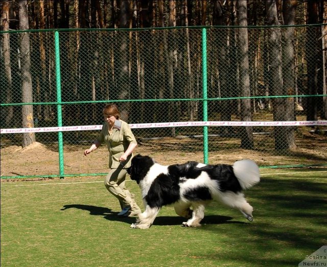 Фотография № 70596