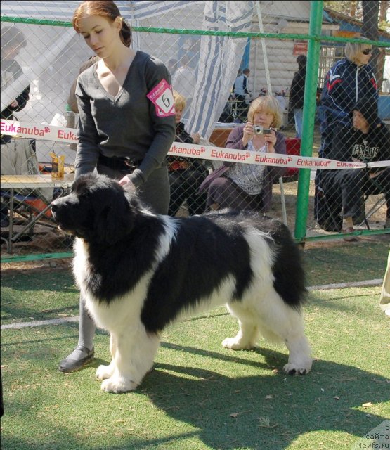 Фотография № 70597