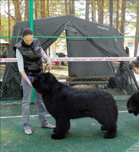 Фотография № 70598