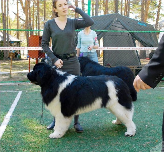 Фотография № 70599