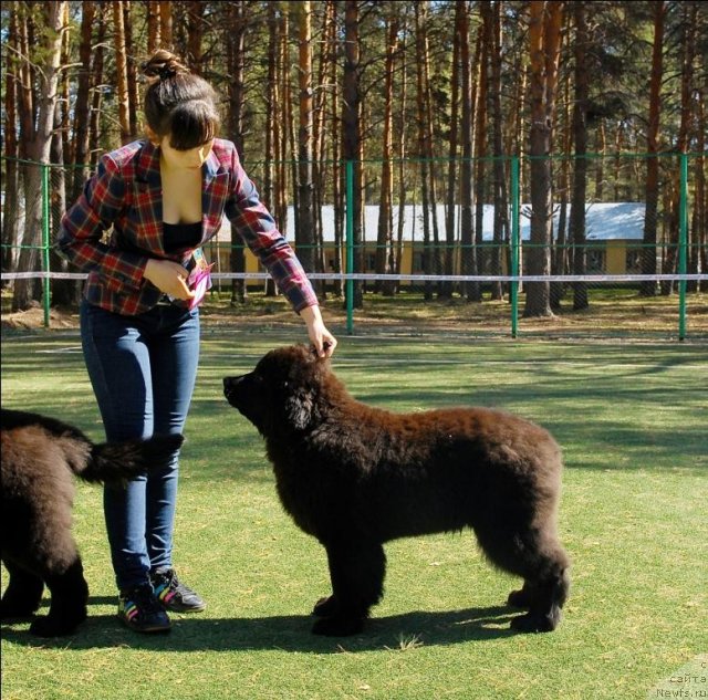 Фотография № 70607