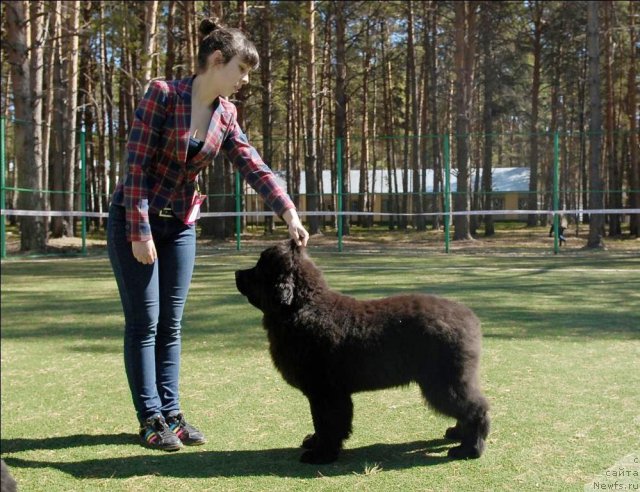 Фотография № 70608