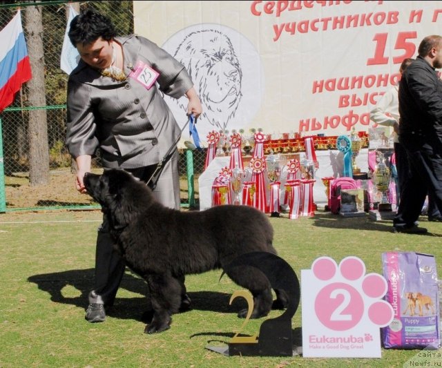 Фотография № 70610