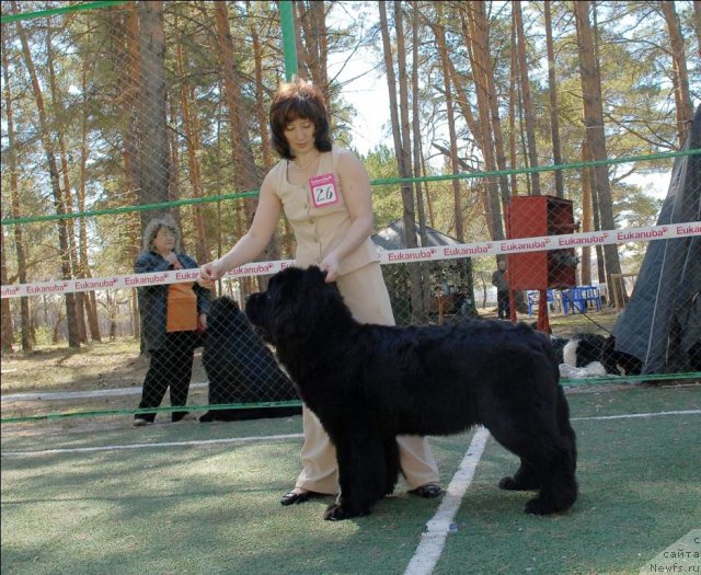 Фотография № 70613