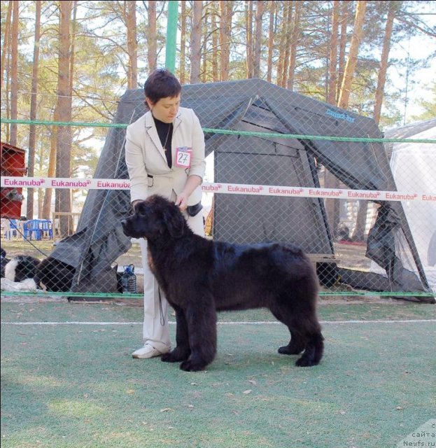 Фотография № 70614