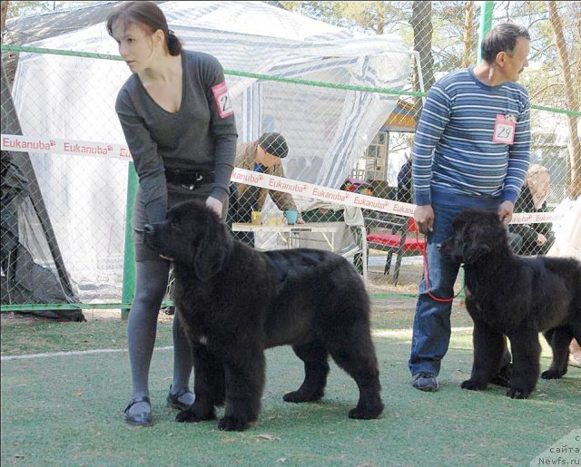 Фотография № 70615