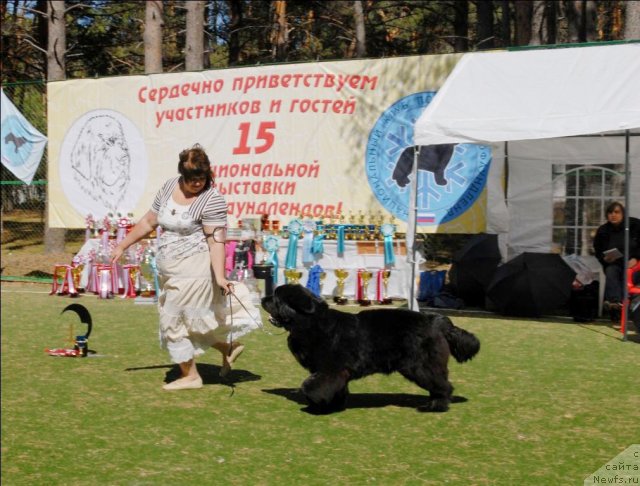 Фотография № 70618