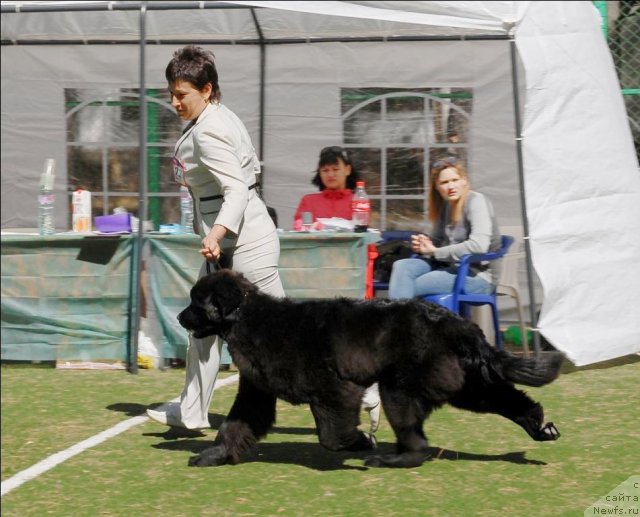 Фотография № 70621