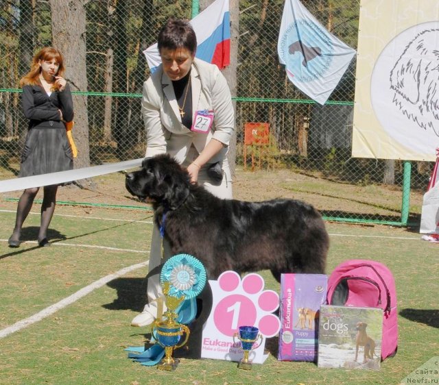 Фотография № 70623