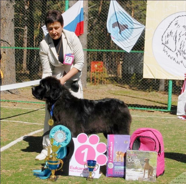 Фотография № 70624