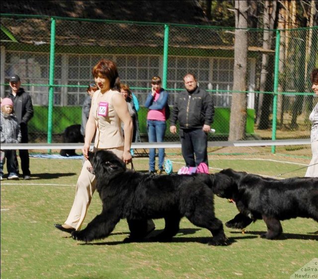 Фотография № 70625