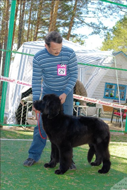 Фотография № 70628