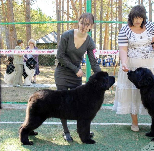 Фотография № 70632