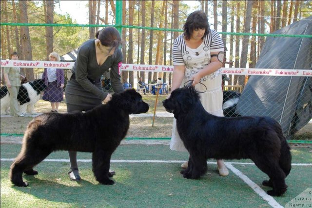 Фотография № 70633