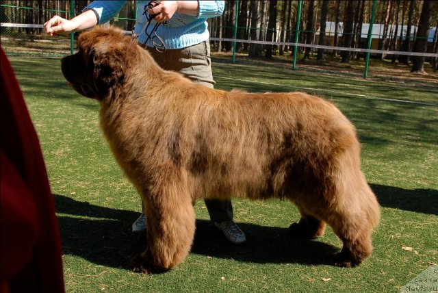 Фотография № 70645