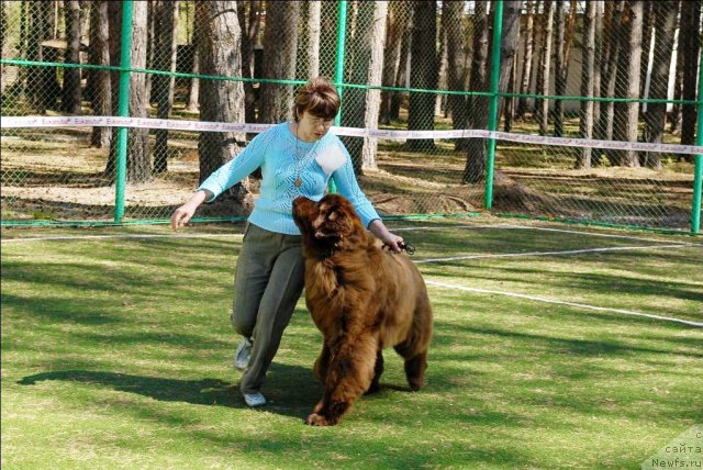 Фотография № 70647