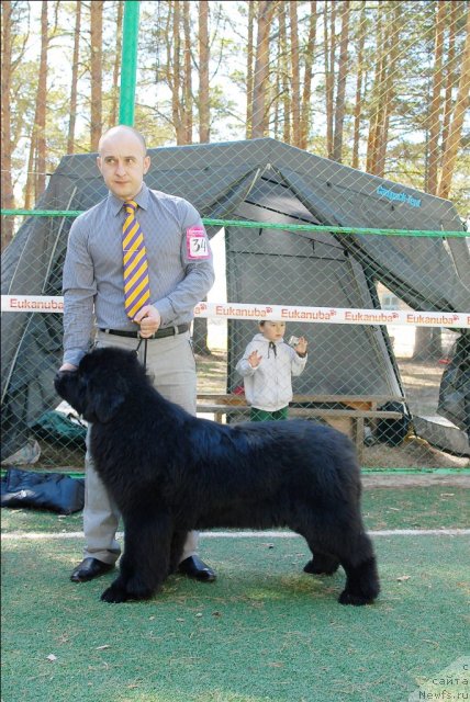 Фотография № 70649