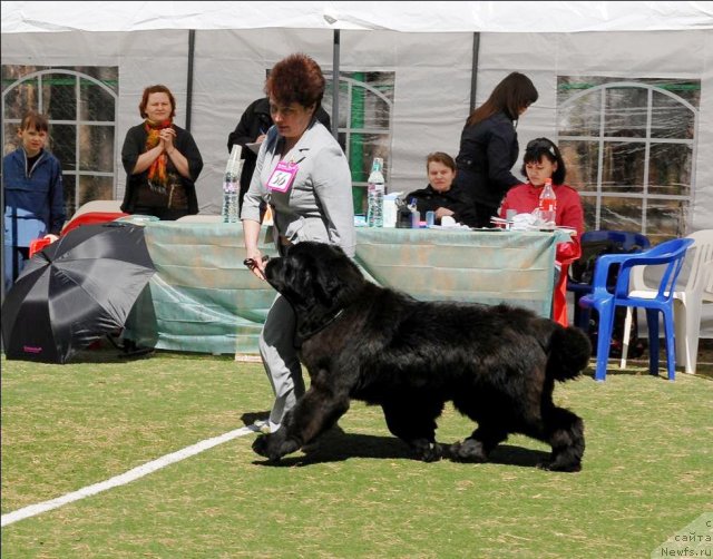 Фотография № 70652