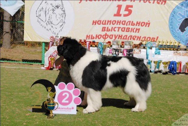 Фотография № 70660