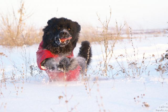 Фотография № 7075