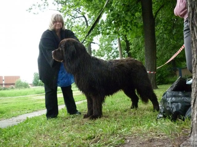 Фотография № 70780