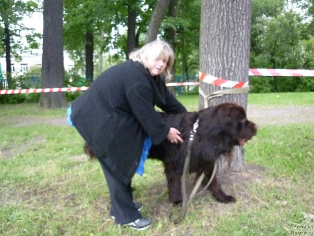 Фотография № 70795