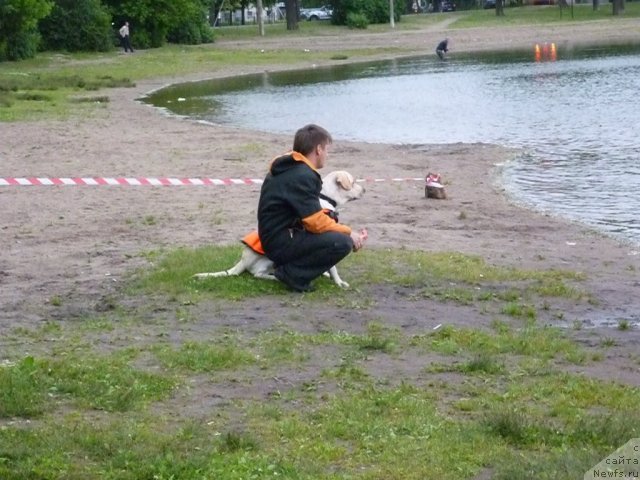 Фотография № 70807