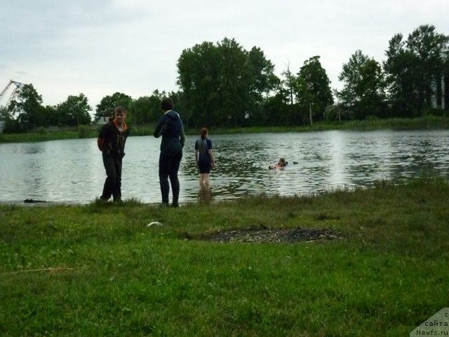 Фотография № 70808