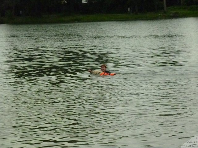 Фотография № 70809