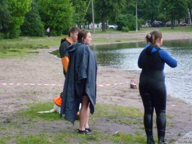 Фотография № 70812