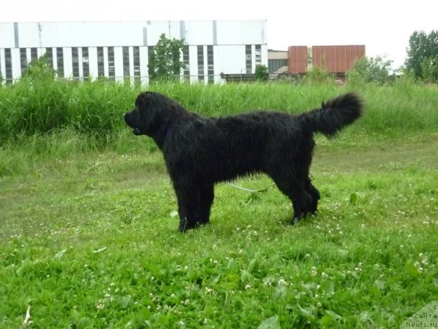 Фотография № 70820