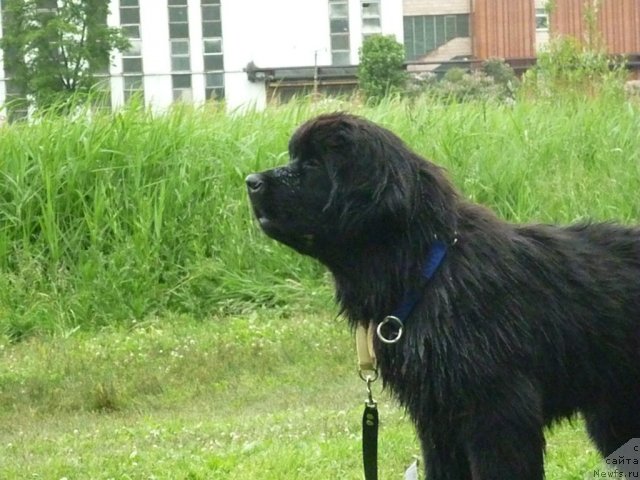 Фотография № 70821