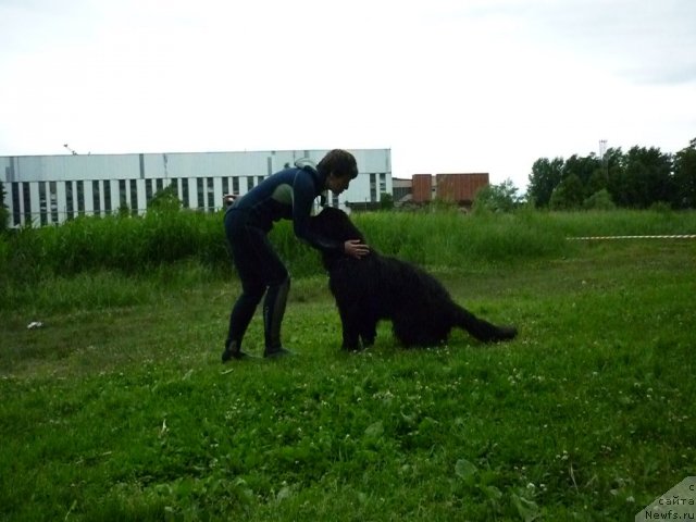 Фотография № 70825