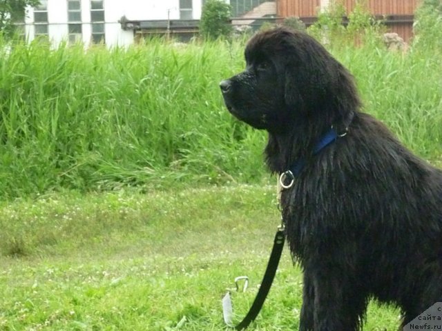 Фотография № 70828