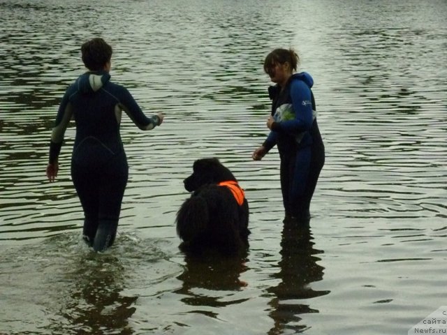 Фотография № 70833