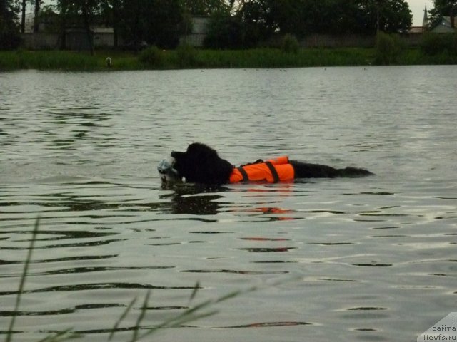 Фотография № 70835