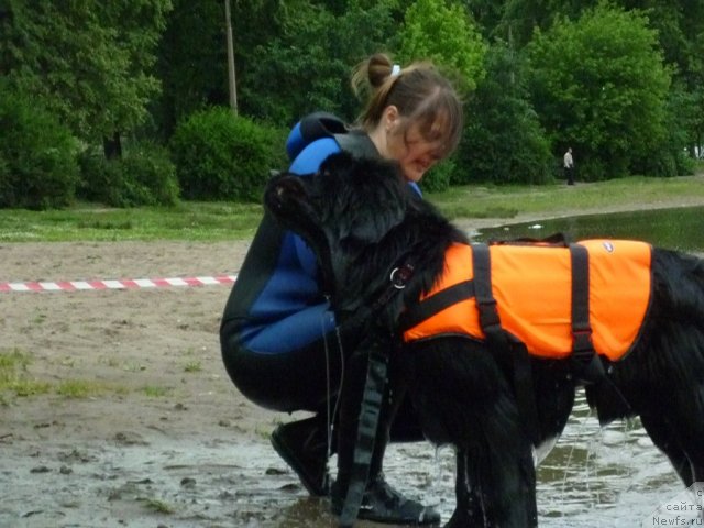 Фотография № 70838