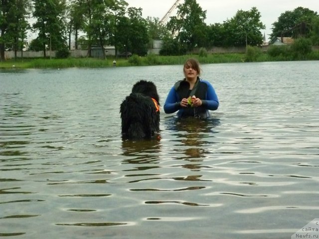 Фотография № 70844