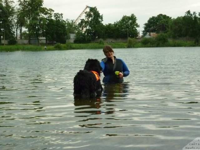 Фотография № 70845