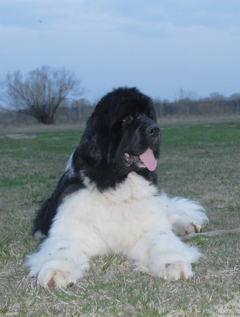 Фотография № 70858