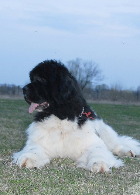 Фотография № 70859