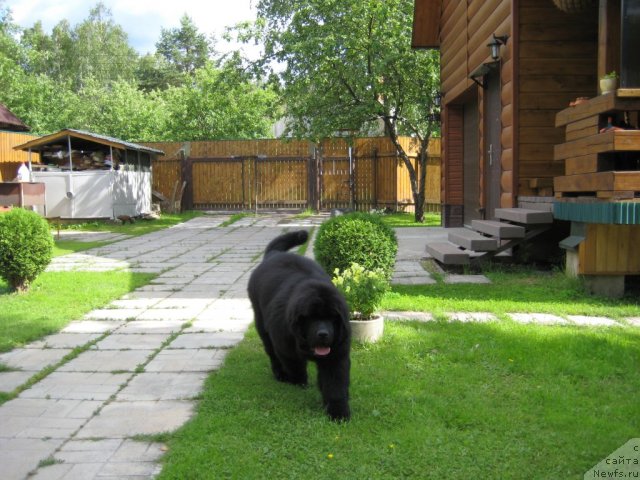 Фото: VERY FAIRWEATHER^S X^GOT THE RHYTHM