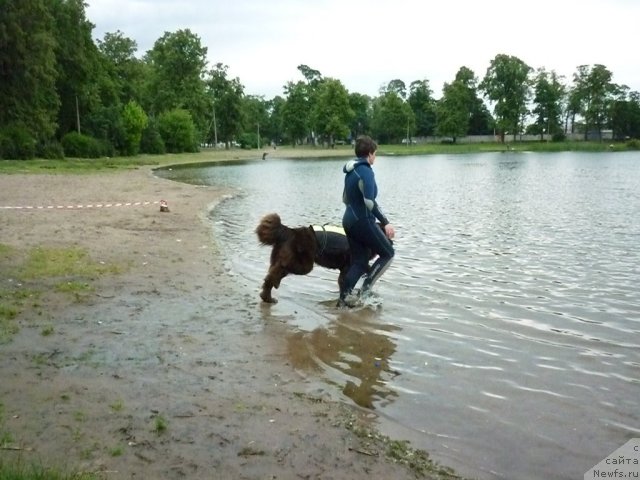 Фотография № 70870