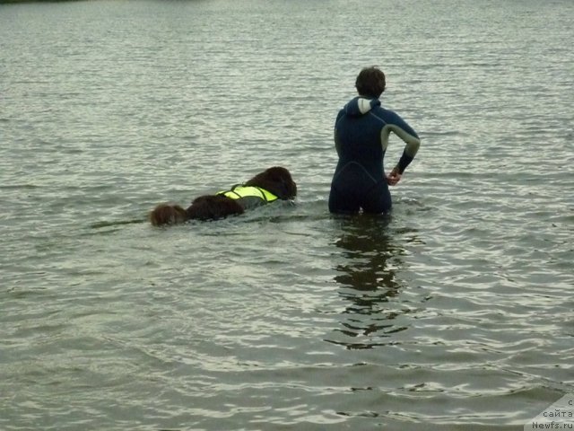 Фотография № 70871