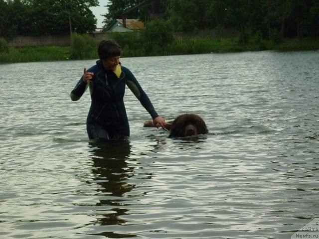 Фотография № 70872