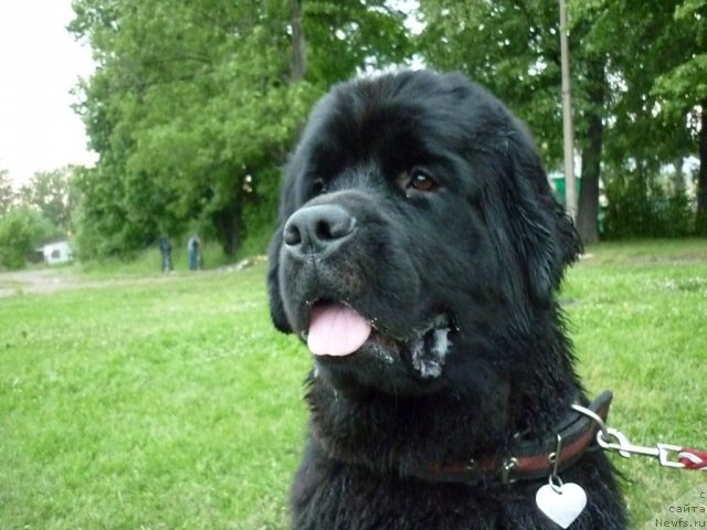 Фотография № 70917