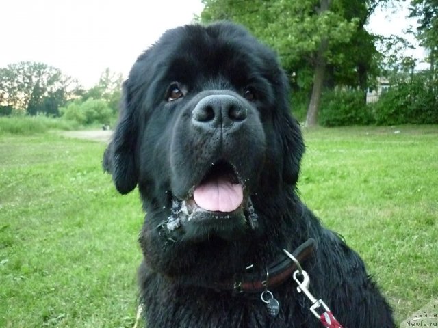 Фотография № 70918