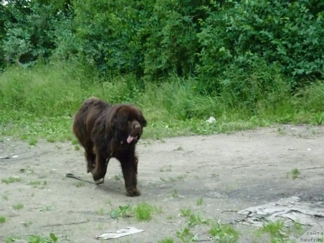 Фотография № 70935